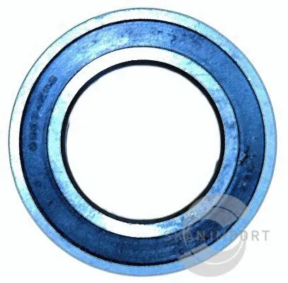SKANIMPORT 6007 2RS