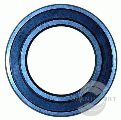 SKANIMPORT 6009 2RS