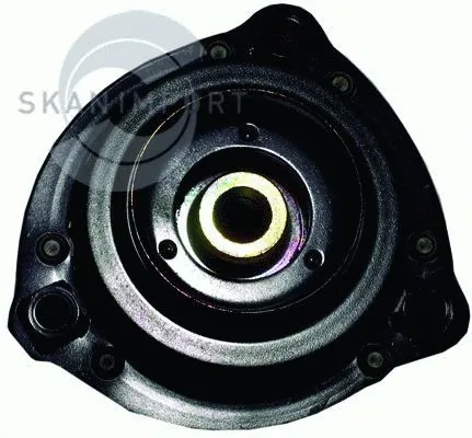 SKANIMPORT 09.1007