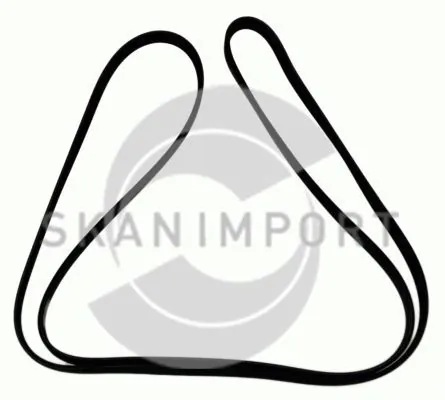 SKANIMPORT 5K1238