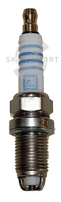 SKANIMPORT FR 5109-1