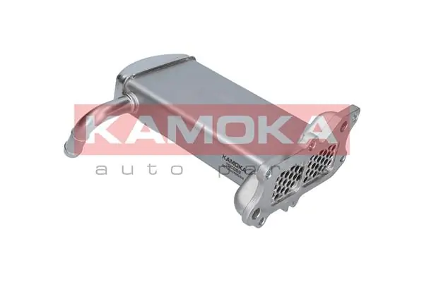 KAMOKA 19C069