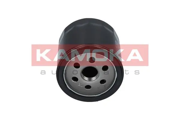 KAMOKA F102901