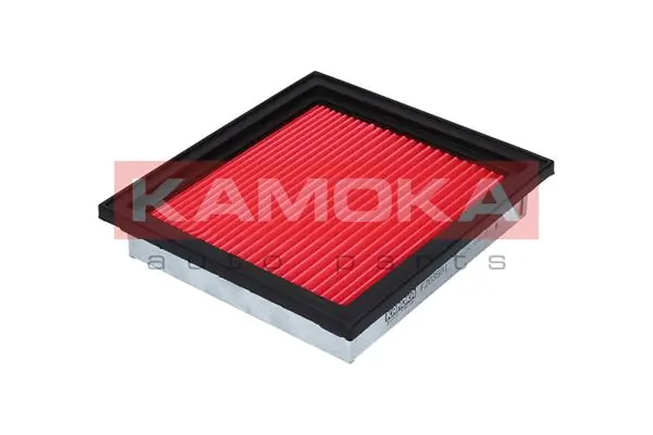 KAMOKA F203501