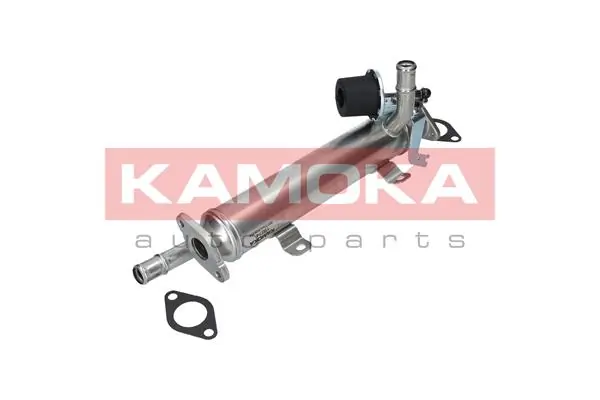 KAMOKA 19074