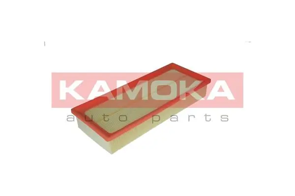 KAMOKA F204301