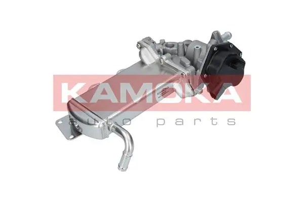 KAMOKA 19069