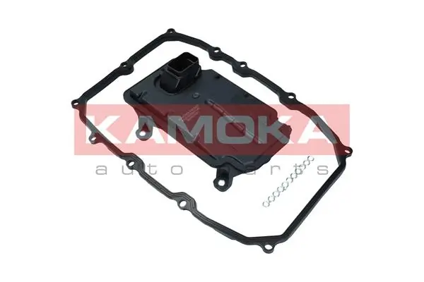 KAMOKA F603601