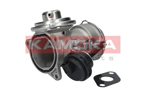 KAMOKA 19033