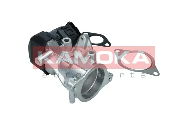 KAMOKA 19046