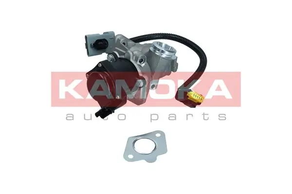 KAMOKA 19044