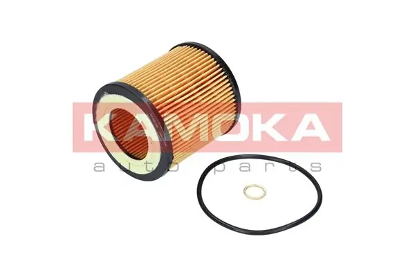KAMOKA F109701