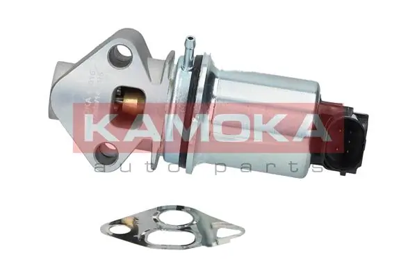 KAMOKA 19016
