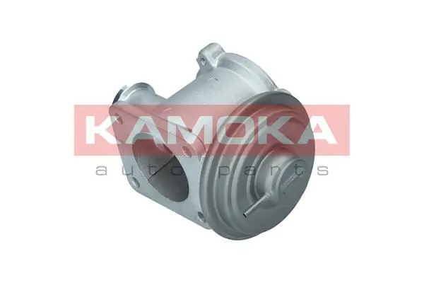 KAMOKA 19062