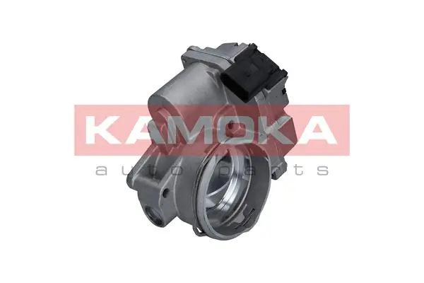 KAMOKA 112011