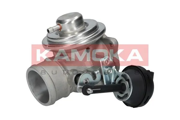 KAMOKA 19042