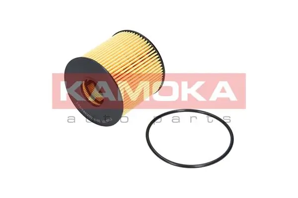 KAMOKA F105701