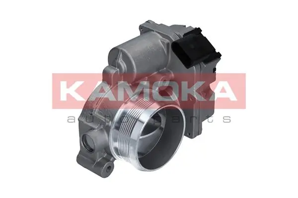 KAMOKA 112013
