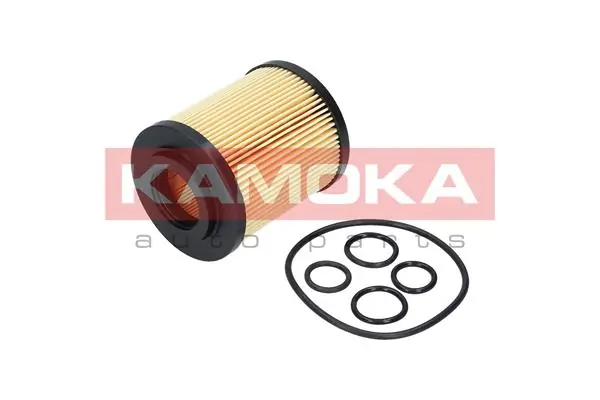 KAMOKA F109301