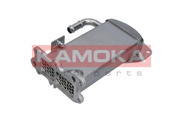 KAMOKA 19C067