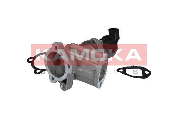 KAMOKA 19018
