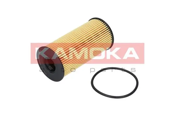 KAMOKA F107701
