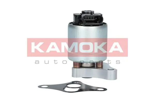 KAMOKA 19002