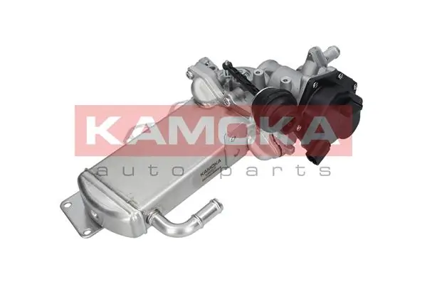 KAMOKA 19067