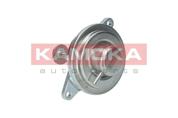 KAMOKA 19012