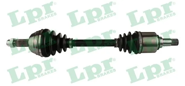 LPR DS21035