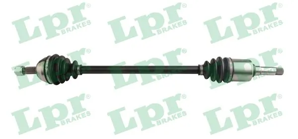 LPR DS16038