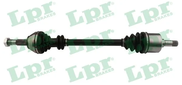 LPR DS20095