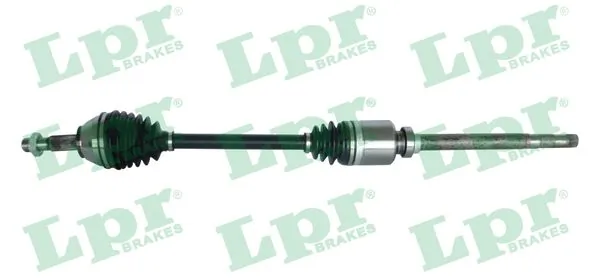 LPR DS20096