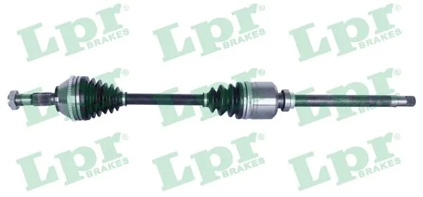 LPR DS20100
