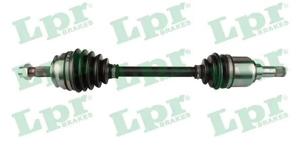 LPR DS20101