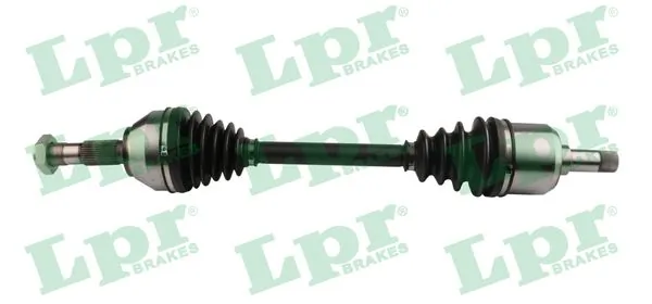 LPR DS20099