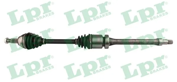 LPR DS21070