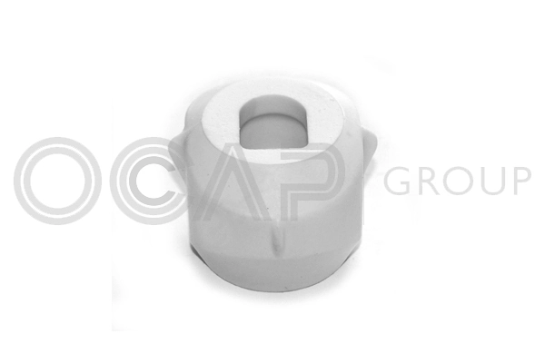 OCAP 1225080