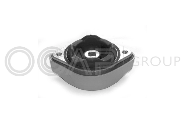 OCAP 1225063