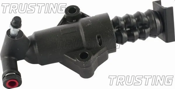 TRUSTING CZ081