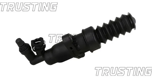 TRUSTING CZ082
