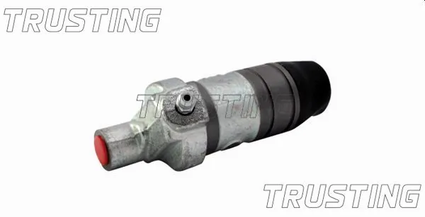 TRUSTING CZ019