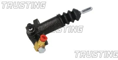 TRUSTING CZ132