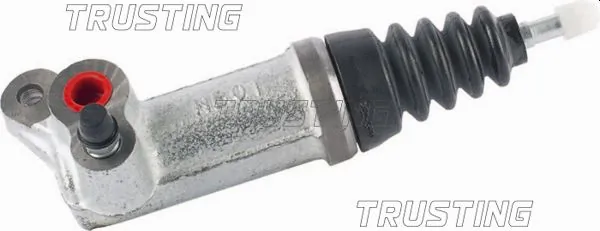 TRUSTING CZ036
