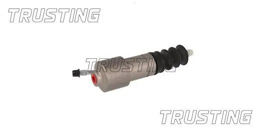 TRUSTING CZ085