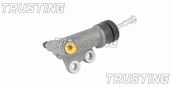 TRUSTING CZ113