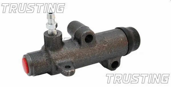 TRUSTING CZ100