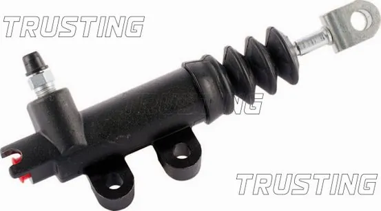TRUSTING CZ131