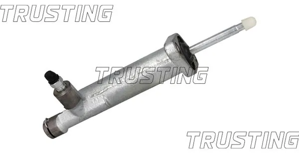 TRUSTING CZ165
