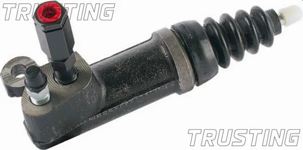 TRUSTING CZ096